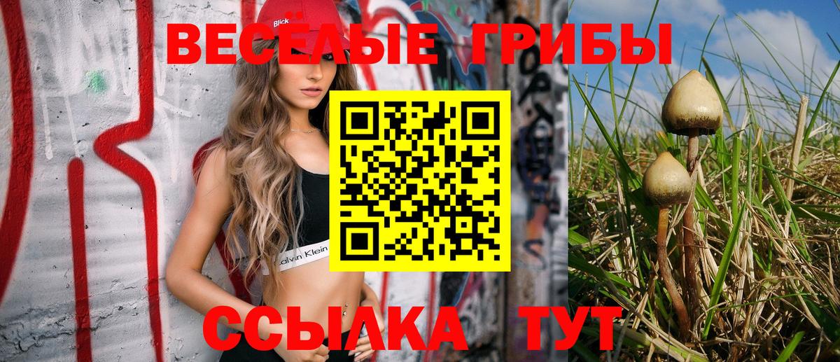 Галлюциногенные грибы прущие грибы  Псилоцибиновые грибы MAGIC MUSHROOMS  Вход с VPN  Полысаево 